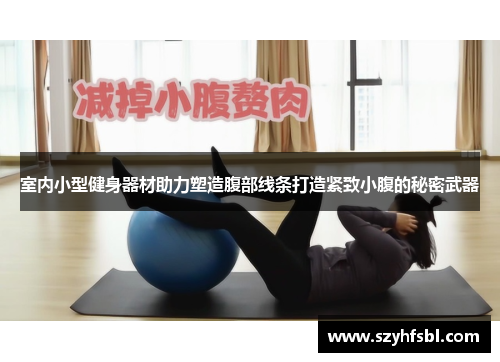 室内小型健身器材助力塑造腹部线条打造紧致小腹的秘密武器
