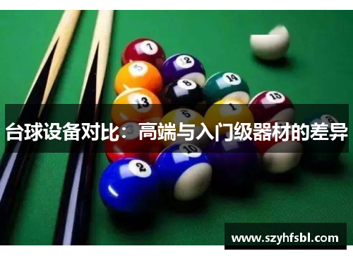 台球设备对比：高端与入门级器材的差异